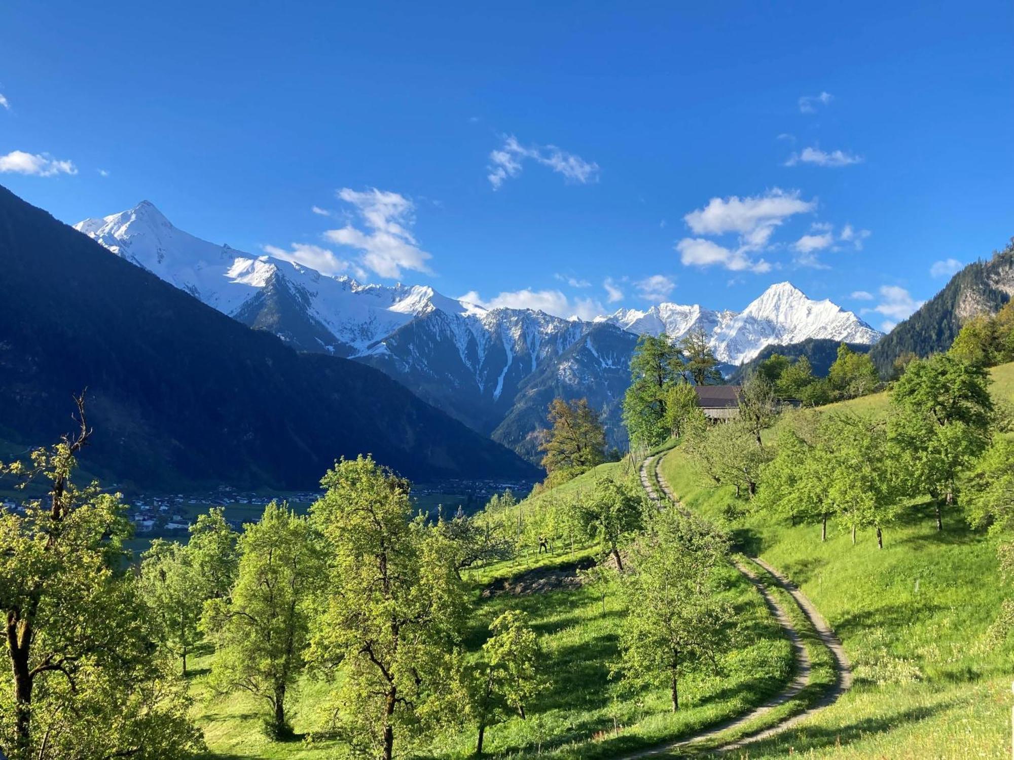 Ferienhaus Waidmannsruh Hippach Esterno foto